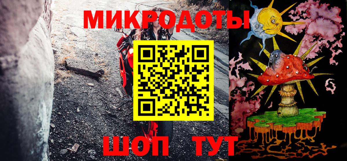 Псилоцибиновые грибы Psilocybe  Галлюциногенные грибы мицелий  Черняховск  Вход с VPN 